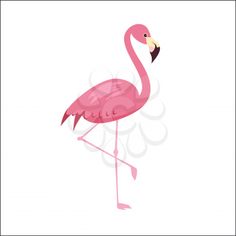 a pink flamingo standing on its hind legs