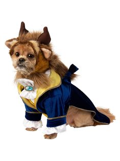 Beauty and the Beast Pet Costume - costumes.com Disney Dog Costume, Beauty And The Beast Costume, Beauty And The Beast Theme, Beast Costume, Beauty And The Beast Party, Disney Halloween Costumes, Pet Halloween Costumes, Disney Dogs, Dog Halloween Costumes