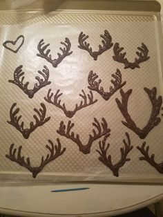 there are some deer antlers on the tray