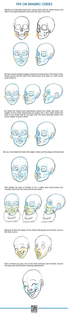 the steps in how to draw a bowl with blue and yellow lines on it's sides