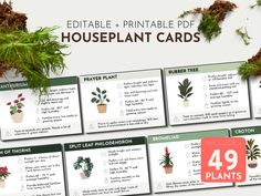 the printable houseplant cards are shown with different types of plants in them