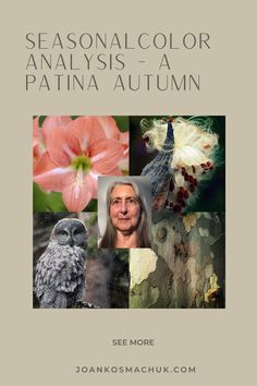 the cover of seasonal color anallis - t - a patina autumn by joann osmacchuk