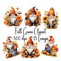 fall gnome clipart with pumpkins and sunflowers