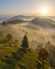 the sun shines through the foggy hills and trees in the foreground, as seen from above