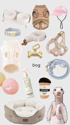 there are many different items that can be found in this image, including dog toys