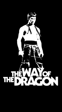 the way of the dragon poster with a man in shorts and no shirt standing on one leg