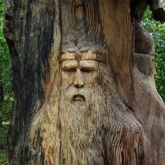 a carved face on the side of a tree trunk