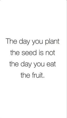 the day you plant the seed is not the day you eat the fruit