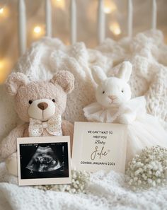 two stuffed animals and a birth announcement on a white blanket with lights in the background