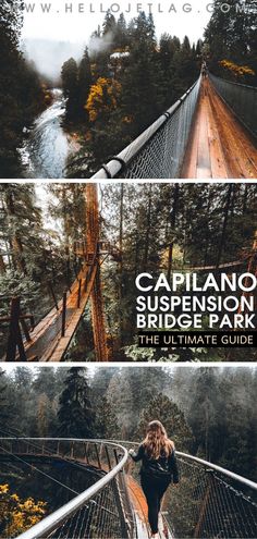 the capilano suspension bridge park is one of the best things to see in vancouver