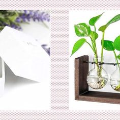 two vases with plants in them are next to a white box and purple flowers