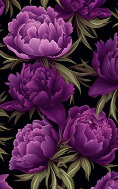 purple peonies on a black background with green leaves