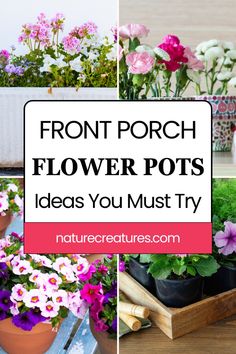 flowers that are sitting in pots on a table with the words front porch flower pots ideas you must try