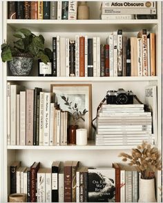 a bookshelf filled with lots of books next to a vase and potted plant