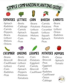 a poster with the words, simple companion planting guide and pictures of vegetables on it