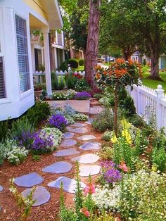 an image of a garden with flowers on the ground and trees in the back yard