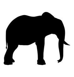 an elephant silhouetted against a white background