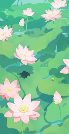 pink water lilies floating on top of green leaves