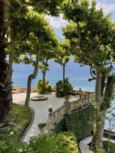 an outdoor walkway with trees and shrubs on the side, leading to a body of water