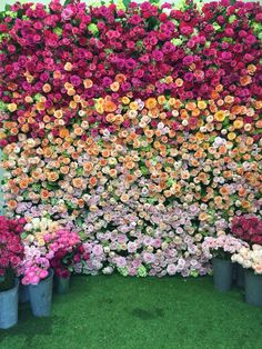 many different colored flowers are arranged on the wall