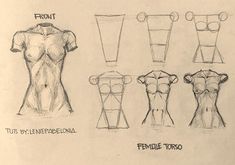 sketches of female mannequins from the front and back, with text describing how to draw them