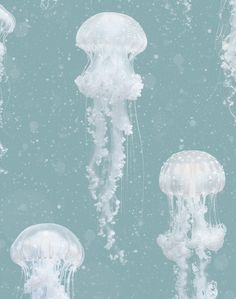 several white jellyfish floating in the water together on a blue and green background with bubbles