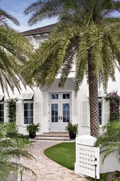 a white house with palm trees in the front yard and walkway leading up to it