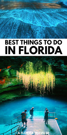 the best things to do in florida