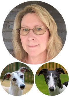 a woman with glasses is looking at the camera and has two dogs in front of her