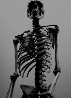 a skeleton is shown in black and white