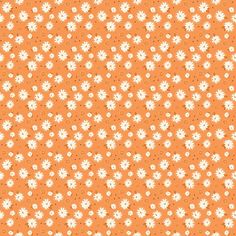 an orange background with white flowers