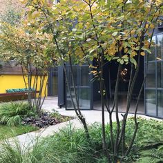 an outdoor area with trees and plants in front of a yellow building that has black glass doors