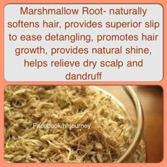 Marshmallow root Marshmallow Root Benefits, Natural Hair Recipes, Post Workout Hair, Hair Recipes, Hair Tricks, Ayurvedic Hair, Marshmallow Root, Soften Hair, Healthy Natural Hair