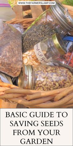 a basket full of food with the words basic guide to saving seeds from your garden