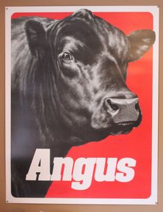 an image of a cow with the words angus on it