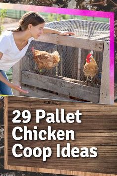 a woman feeding chickens in a coop with the words 29 pallet chicken coop ideas