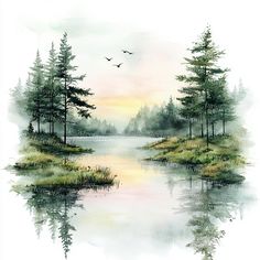 a watercolor painting of trees and birds flying over a lake in the woods at sunset