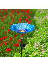 a blue flower is in the middle of some red and white flowers with green grass