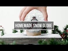 someone is holding a snow globe in front of some pine branches and evergreens with the words homemade snow globe