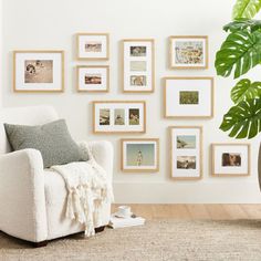 a white chair sitting in front of a wall with pictures on it and a potted plant