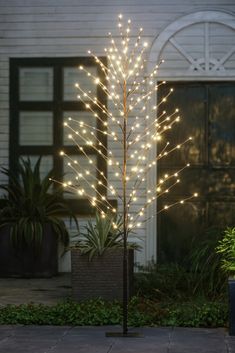 a lighted tree in front of a house