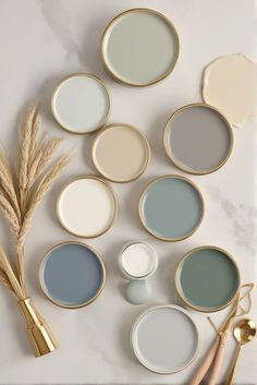 Sherwin-Williams, 2024 Color Trends, Misty Coordinating Colors, Home Decor. Beachy Neutral Paint Colors, Bedroom Hallway Paint Colors, The Turquoise Home, Sherwin Williams Color Of 2024, Best Home Paints Wall Colors, Livable Green Color Palette, Complementary Colors To Sage Green, Colours For 2024 Interiors, Lake House Color Pallet