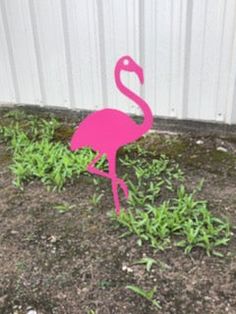 a pink flamingo standing on top of grass next to a white wall and fence