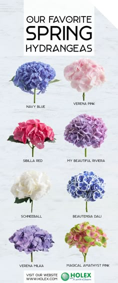 an advertisement with flowers in different colors