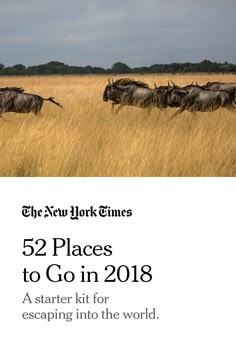 the new york times 52 places to go in 2018, a starter kit for escaping into the world