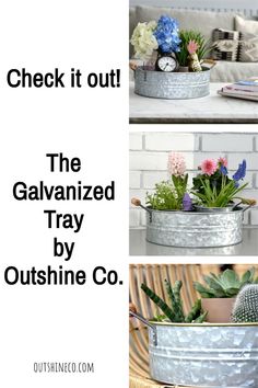 the galvanized tray by outshine co is perfect for succulents and cacti