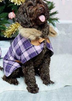 a black dog wearing a purple plaid coat sitting on top of a white fur covered floor