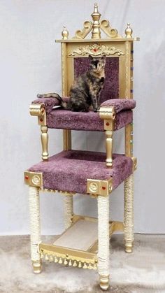 a cat sitting on top of a purple chair with gold trimmings and legs