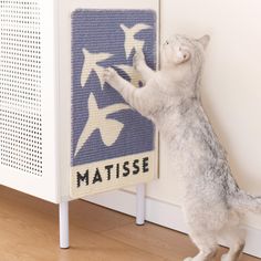 a cat reaching up to reach a mat on the wall