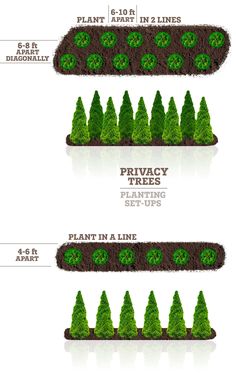 three different types of trees with the names and numbers on each tree, which are labeled in